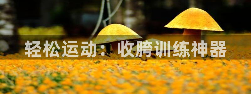 哈哈体育集团logo:轻松运动:收胯训练神器