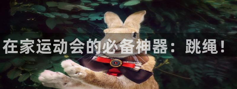 哈哈体育平台注册要钱吗是真的吗:在家运动会的必备神器:跳绳!