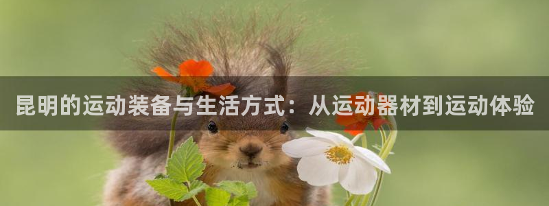 哈哈体育开户:昆明的运动装备与生活方式:从运动器材到运动体验